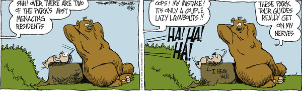 grizzwells